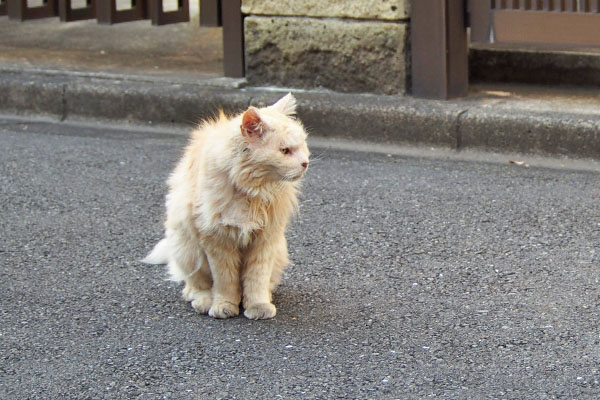 ナリコ　一旦座る