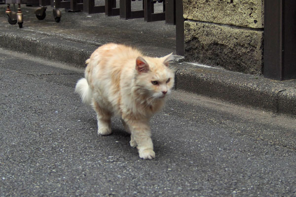 出て来た　ナリコ