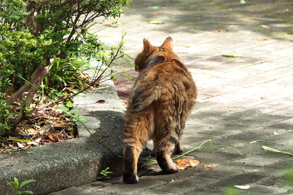 少し進んで　クラタン