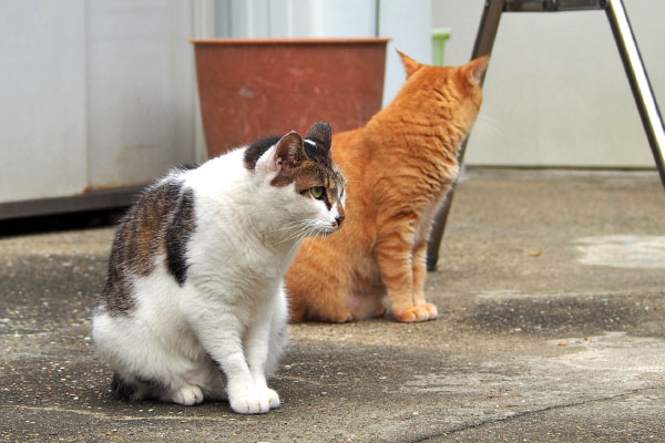 セイとそら　並んでる