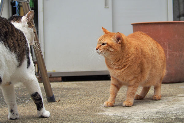 そらとセイ　大人になった