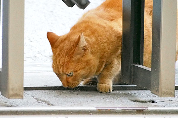 お残しなし　ポー