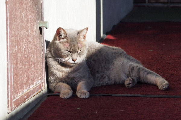 眠い　シピ