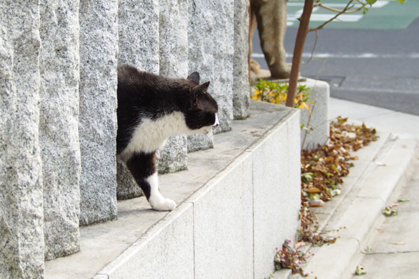 すり抜けた　ぶっち