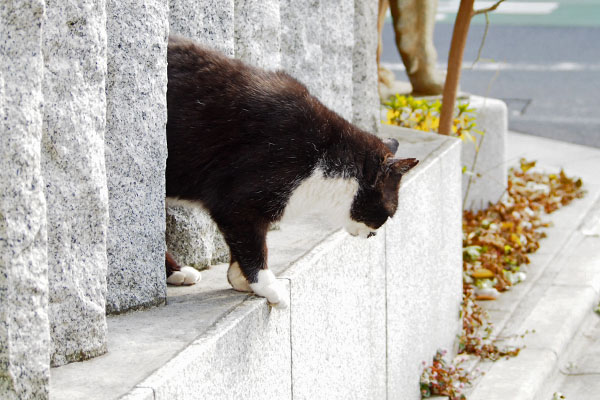 下へ　ぶっち