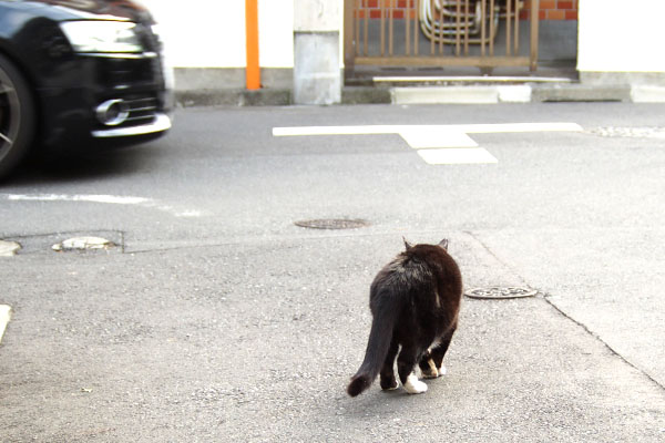 車来てる　ぶっち