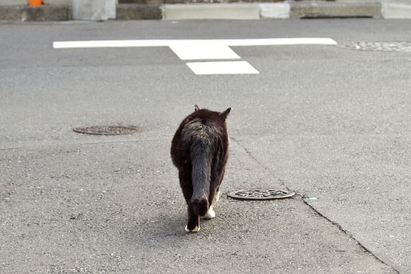 すんすん　ぶっち