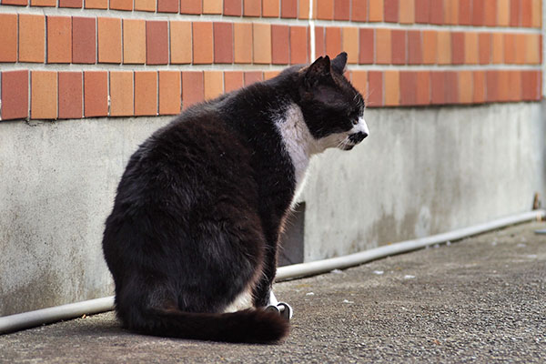 横顔　ぶっち