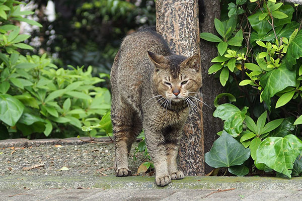 お尻上げ　アビ