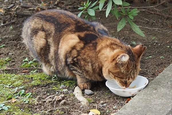 食べる　クラタン２