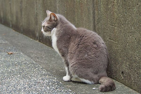 気を抜けない　レックス