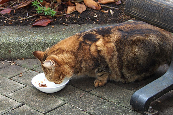 食べる　クラタン