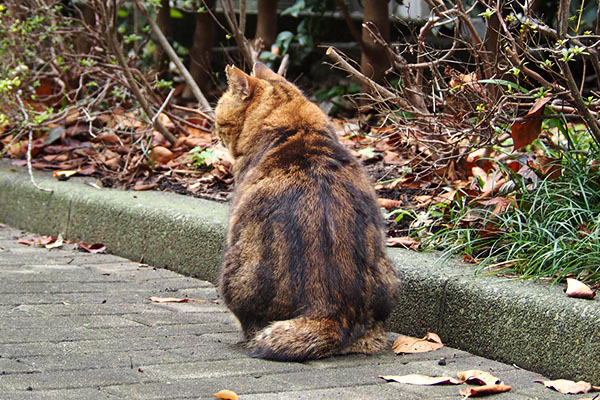 どこ行こう　クラタン