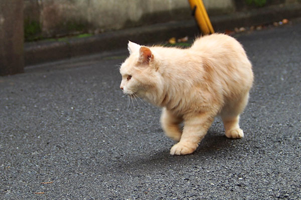 向き変えた　ナリコ