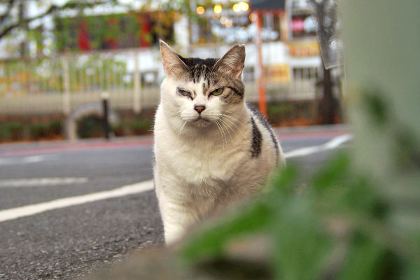 ケイ　また考える