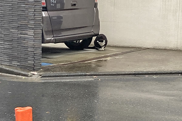 ぶっち　気まずい